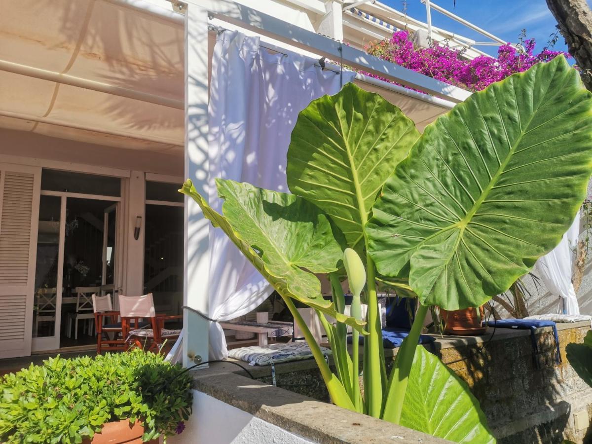 Casa De La Luna Nettuno Eksteriør bilde